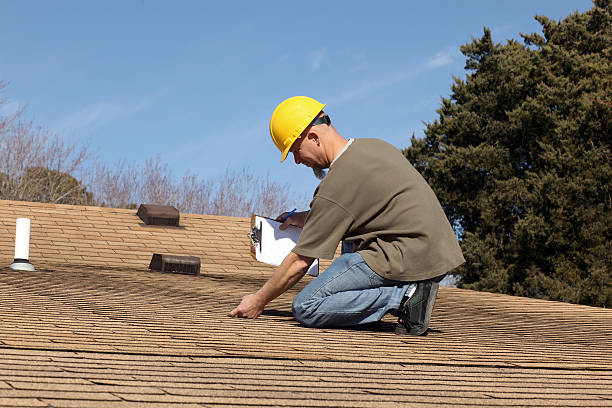 Best Roof Moss and Algae Removal  in Huntsville, TX